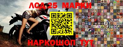 тгк Владивосток